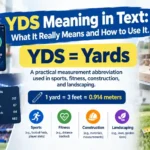 YDS Meaning in Text